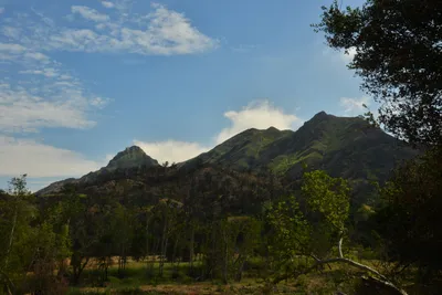 DSC_6391 (Large).JPG